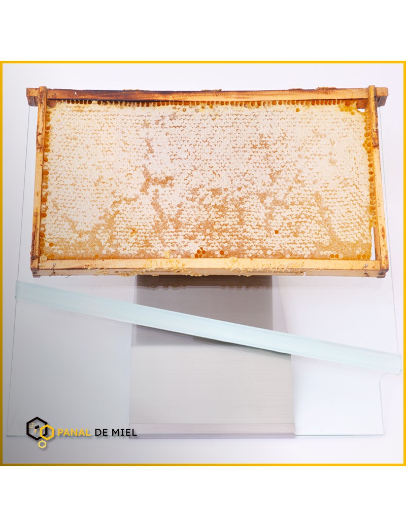 Panal de Miel Acacia 2.8 Kg